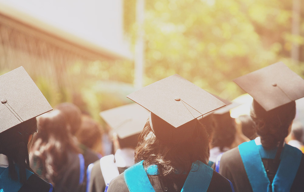 Download detailed course description and academic syllabus PDF service